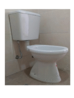 INODORO CORTO ITALIANA CAPEA-ROCA - Imagen 6