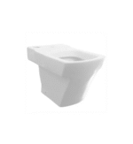 INODORO LARGO ROCA HALL LOZA