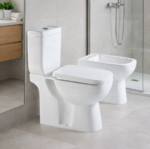 KIT INODORO+TAPA+BIDET+DEPOSITO LINEA PIAVE - Imagen 7