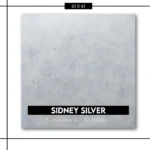 PORCELANATO SIDNEY SILVER 61x61 CERRO NEGRO - Imagen 2