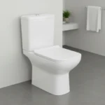 INODORO LARGO SEGOVIA + ASIENTO y DEPÓSITO - Imagen 2
