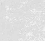 CERAMICA DETROIT PLATA CERRO NEGRO 29x59 TONO 03/01